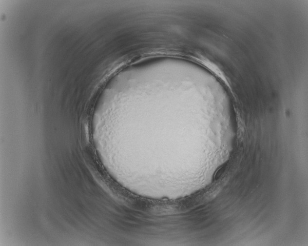 X0000079300061200612151737