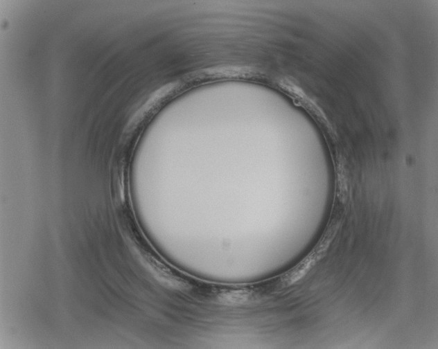 X0000079300062200612151737