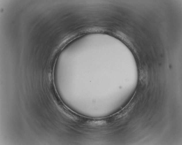 X0000079300063200612151737