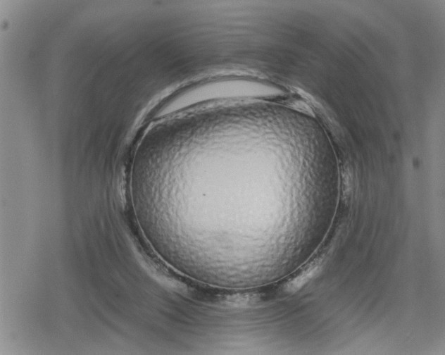 X0000079300064200612151737