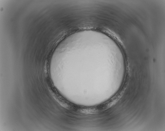 X0000079300065200612151737