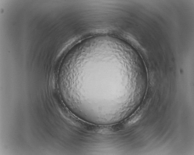 X0000079300068200612151737