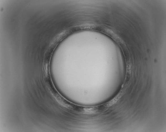 X0000079300070200612151737