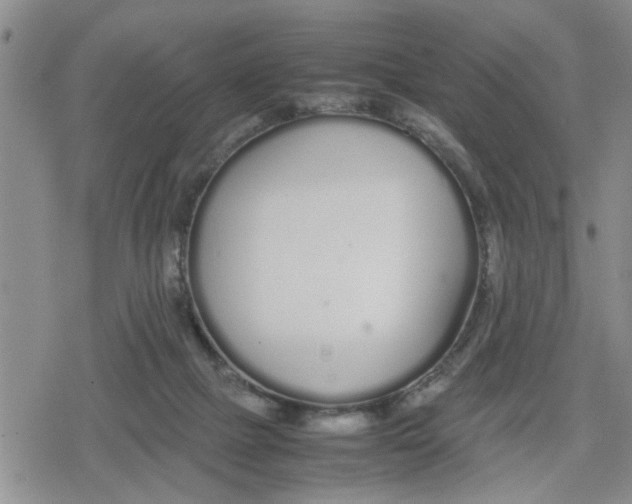 X0000079300073200612151738