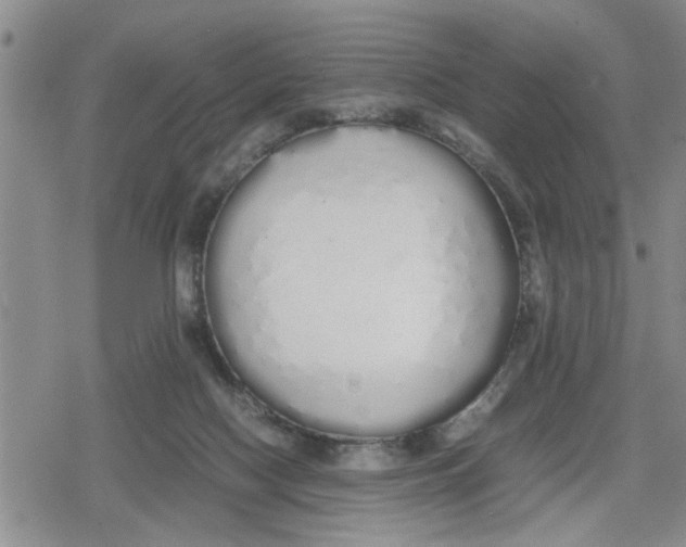 X0000079300074200612151738