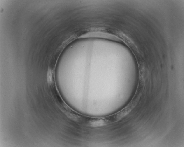 X0000079300075200612151738