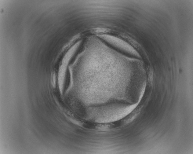 X0000079300076200612151738