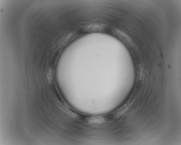 X0000079300077200612151738