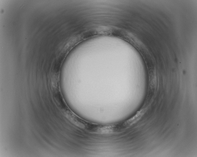 X0000079300078200612151738