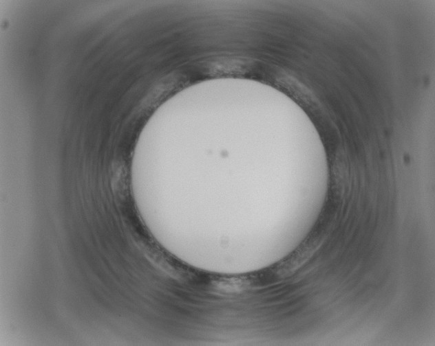 X0000079300079200612151738