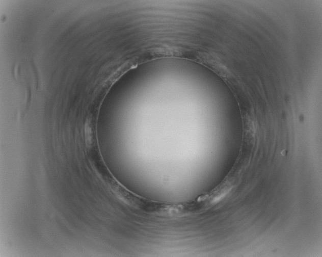 X0000079300080200612151738