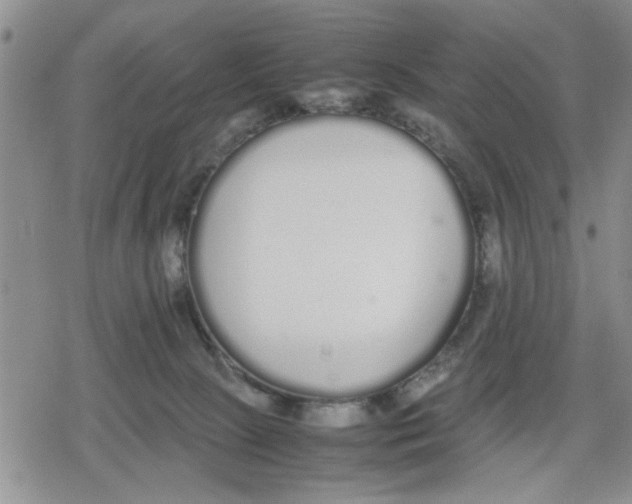 X0000079300081200612151738