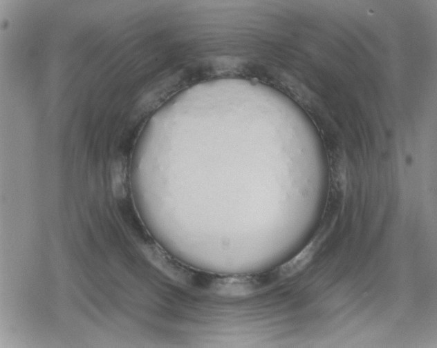 X0000079300082200612151738