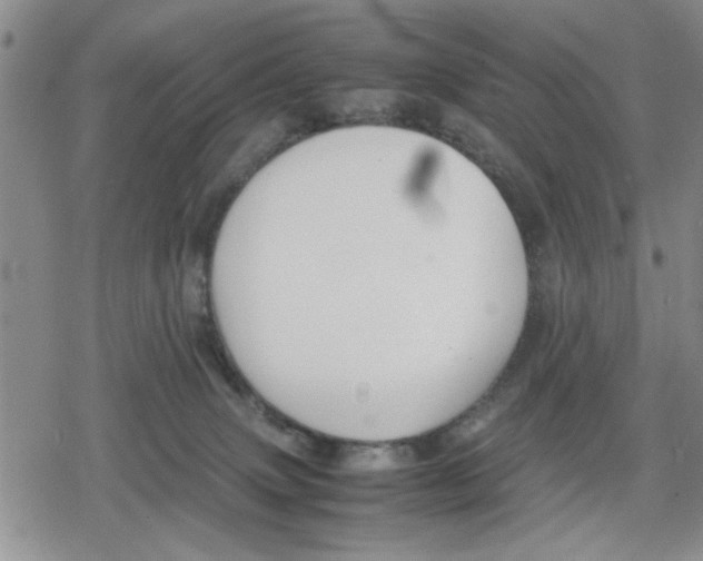 X0000079300083200612151738