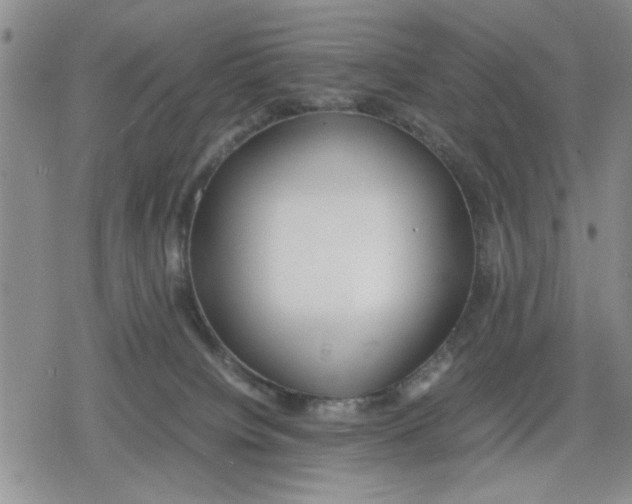 X0000079300084200612151738