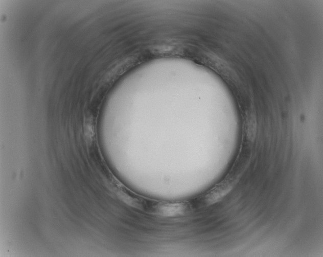 X0000079300085200612151738