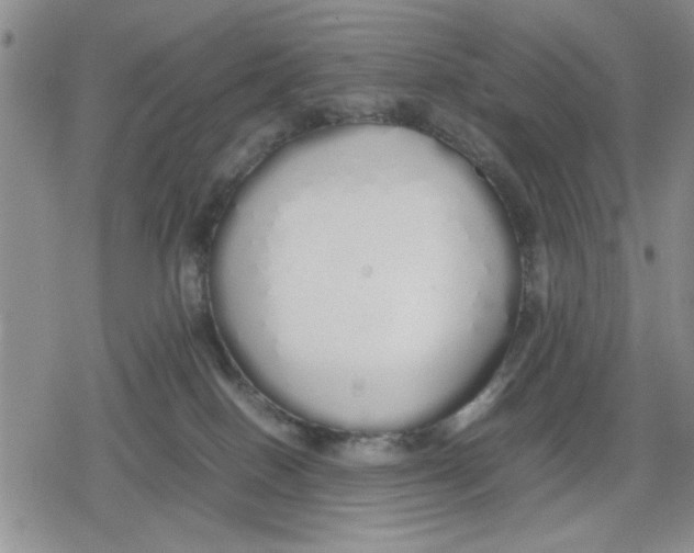 X0000079300086200612151738