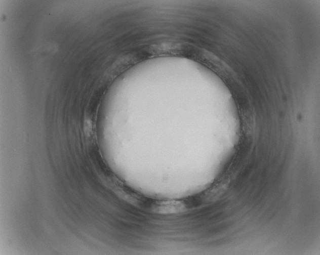 X0000079300087200612151738