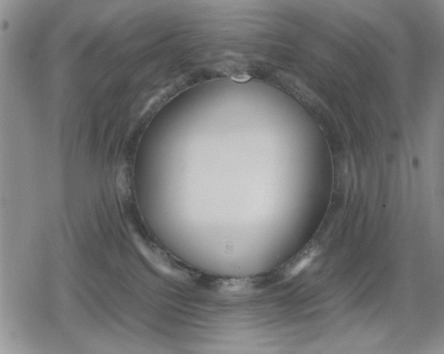 X0000079300088200612151738