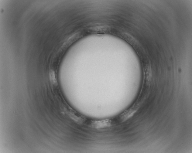 X0000079300089200612151738