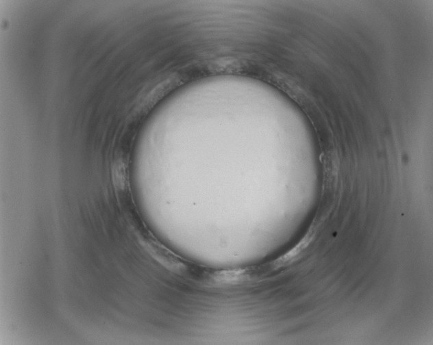 X0000079300090200612151738