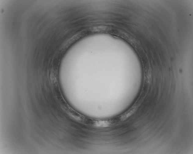 X0000079300091200612151738