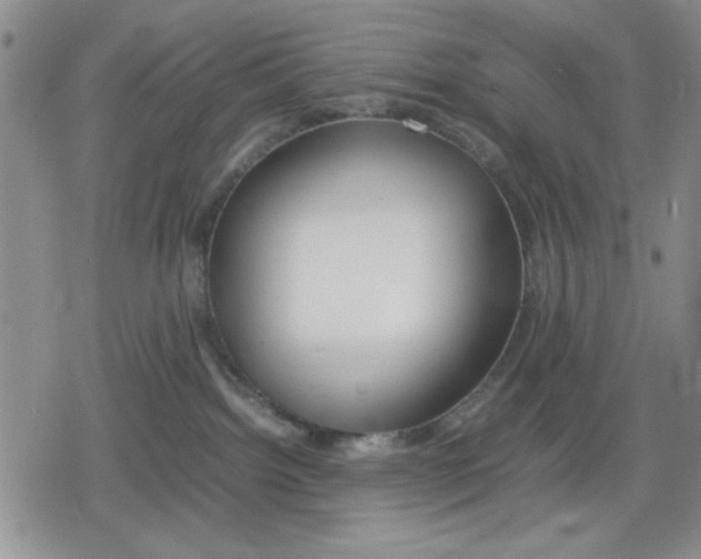 X0000079300092200612151738