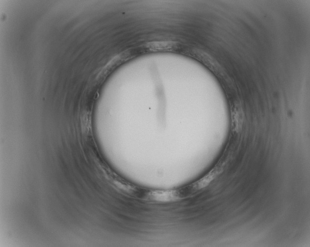 X0000079300093200612151738