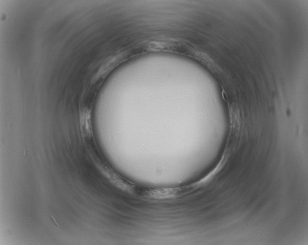 X0000079300094200612151738