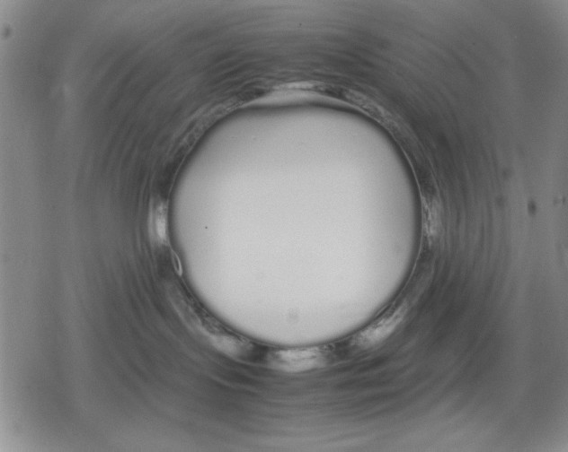 X0000079300095200612151738