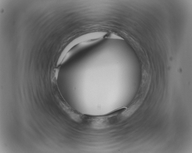 X0000079300096200612151738