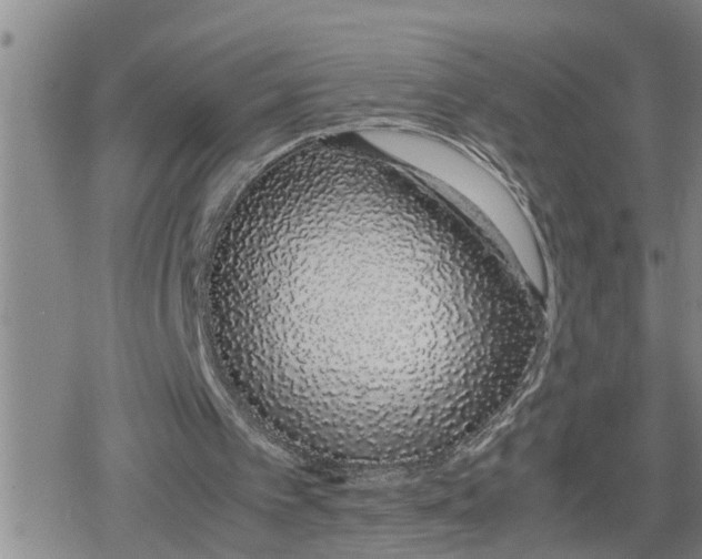 X0000079300097200612151737