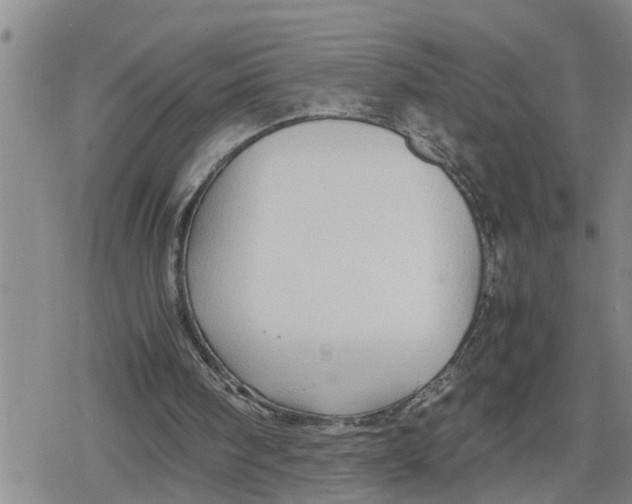 X0000079300098200612151737