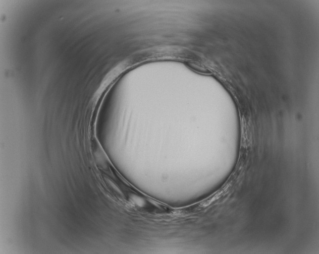 X0000079300099200612151737