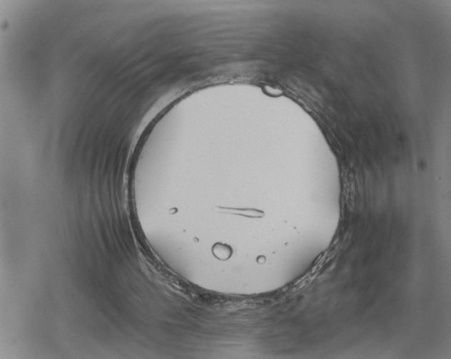 X0000079300100200612151737