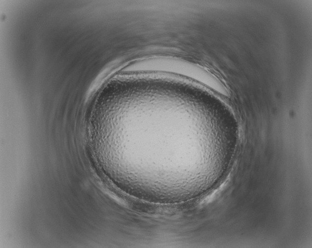 X0000079300101200612151737