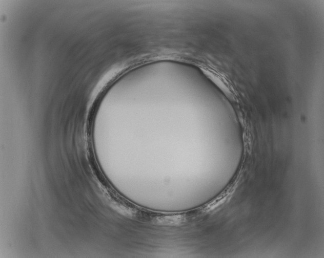 X0000079300102200612151737