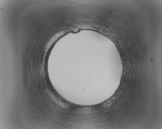 X0000079300104200612151737