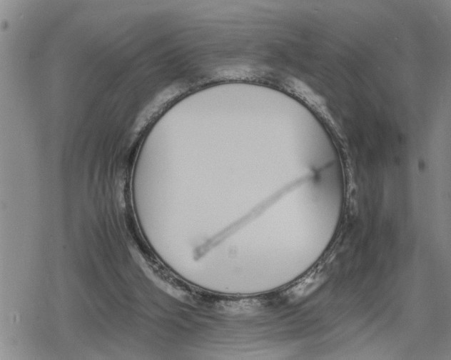 X0000079300106200612151737