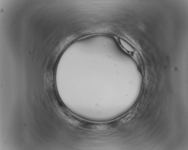 X0000079300107200612151737