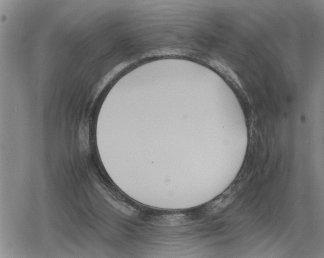 X0000079300108200612151737