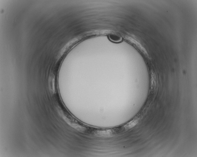 X0000079300110200612151737