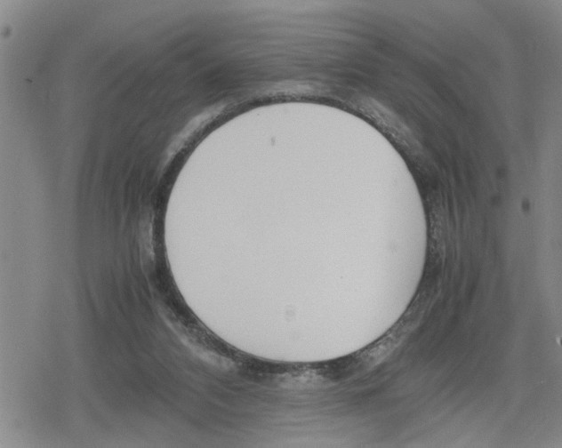 X0000079300112200612151737