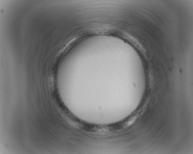 X0000079300113200612151737