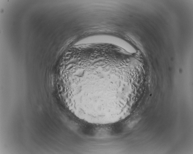 X0000079300115200612151737