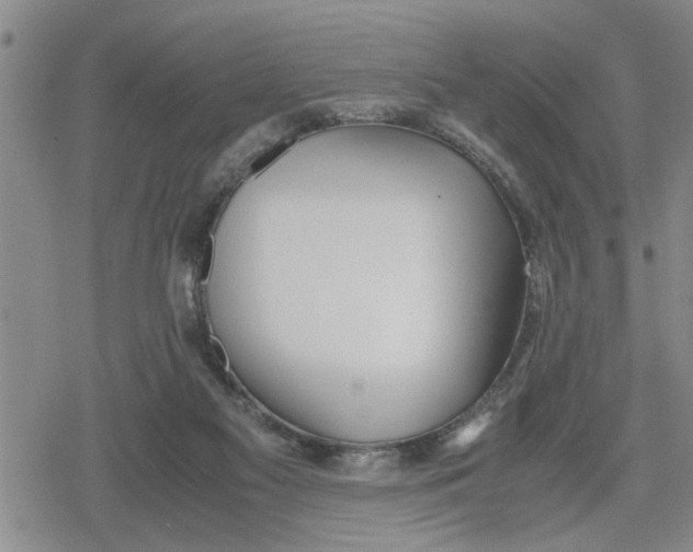 X0000079300117200612151737