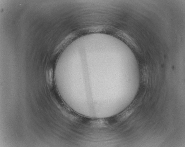 X0000079300118200612151737