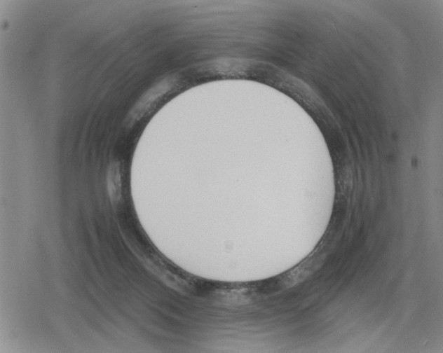 X0000079300120200612151737