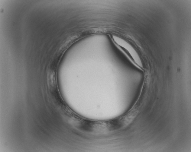 X0000079300123200612151737