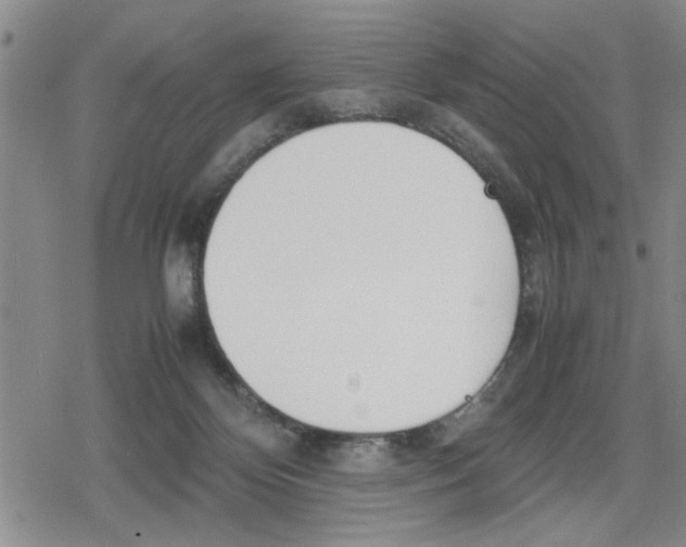 X0000079300124200612151737